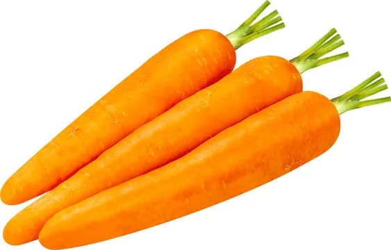 CARROT
